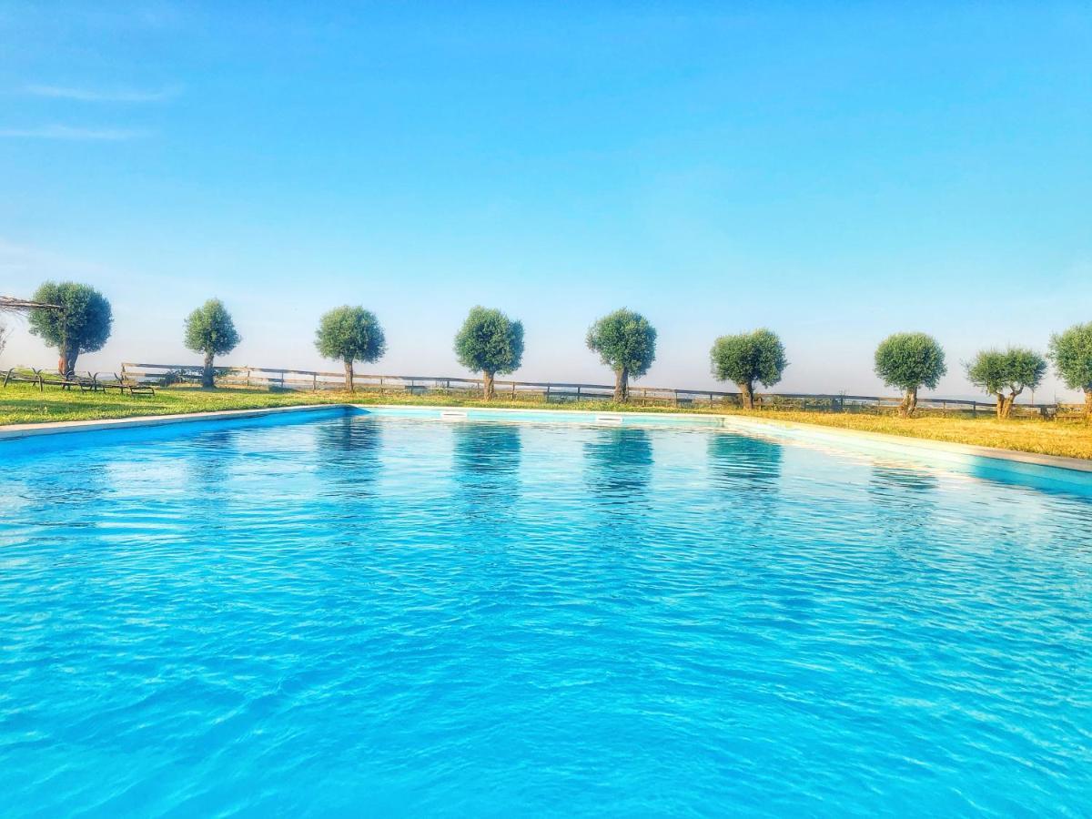 Oliveirinha Country House 에보라 외부 사진