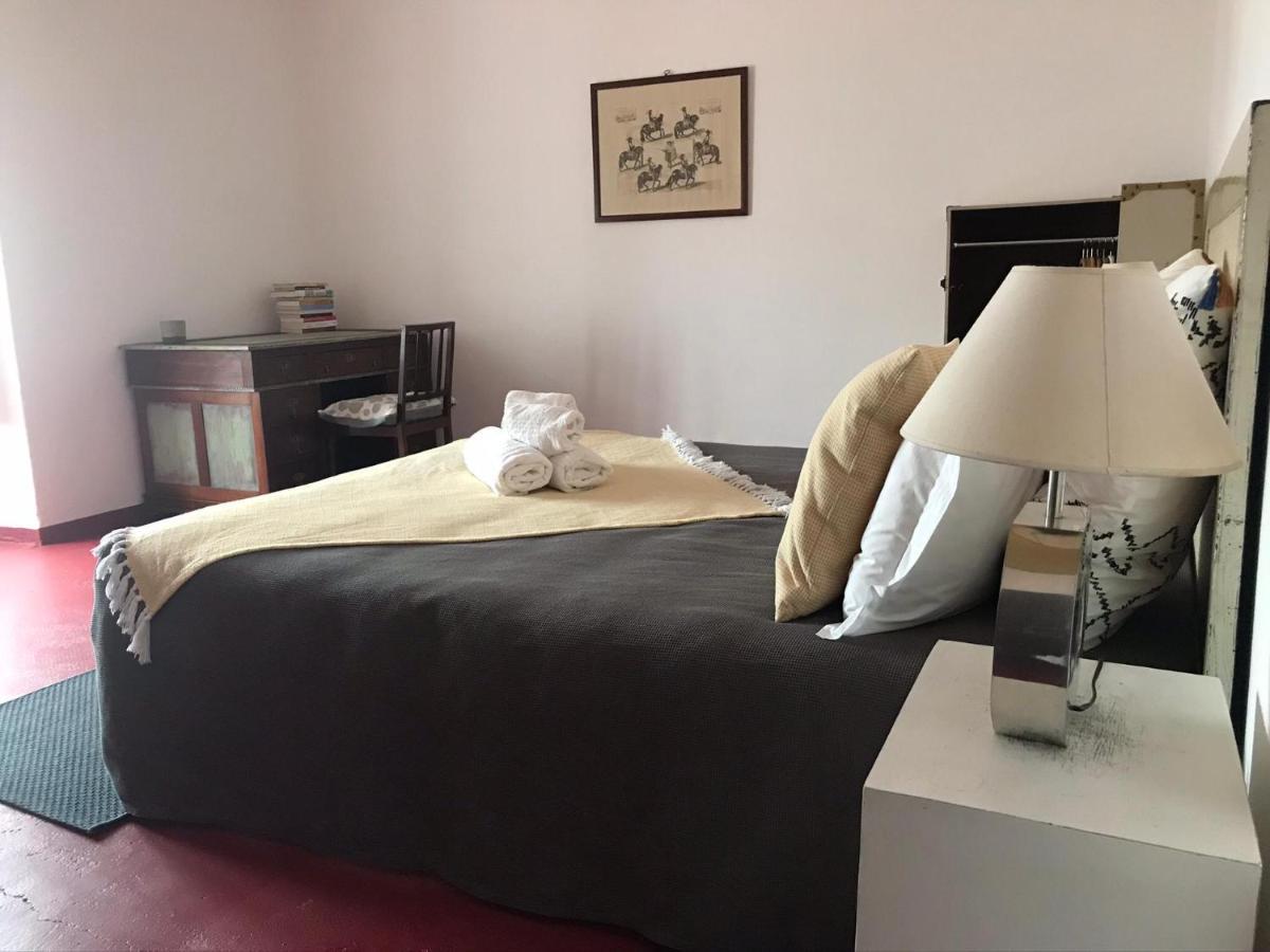 Oliveirinha Country House 에보라 외부 사진