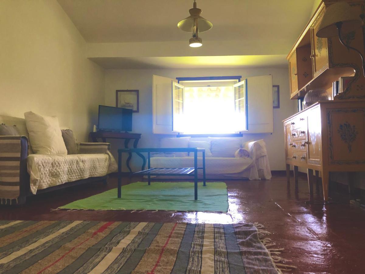Oliveirinha Country House 에보라 외부 사진