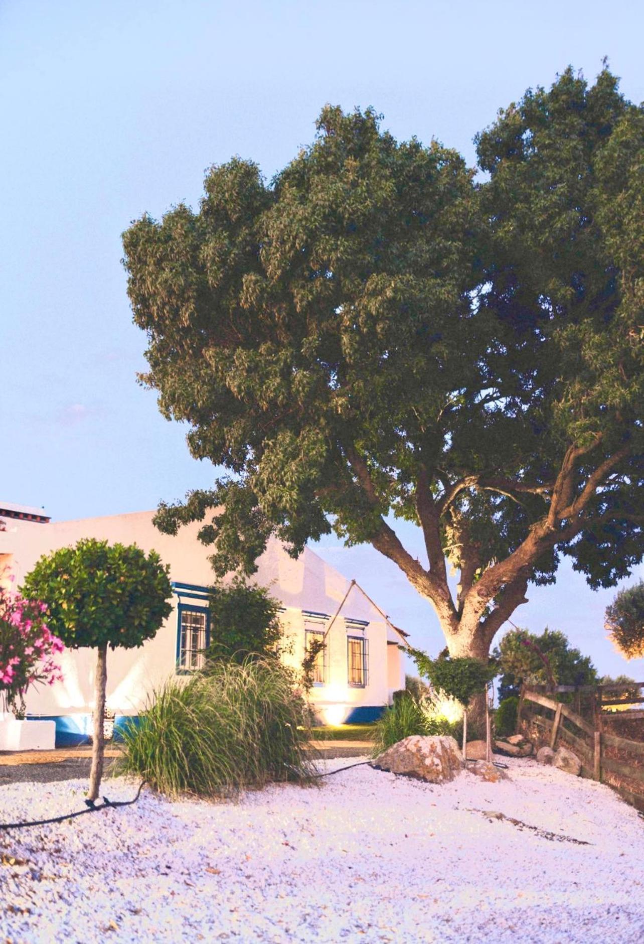 Oliveirinha Country House 에보라 외부 사진